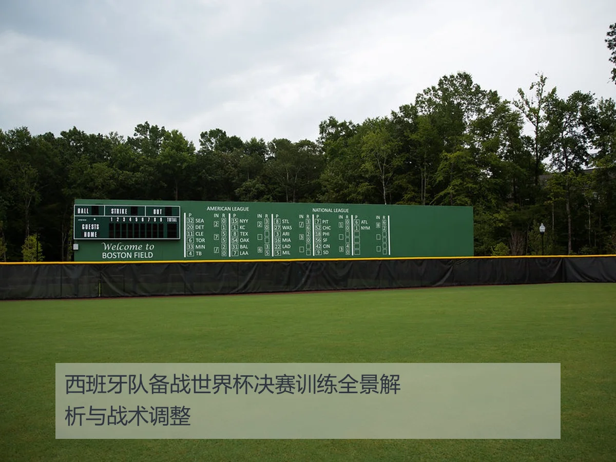 西班牙队备战世界杯决赛训练全景解析与战术调整